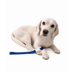 Quick Release Pet Tourniquets