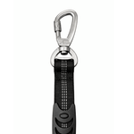 carabiner for dog lead on a white background