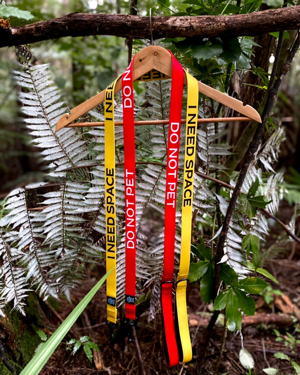 Reactive Dog Lead | Assistance Dog Lead | Leads with text "I NEED SPACE" "DO NOT PET"
