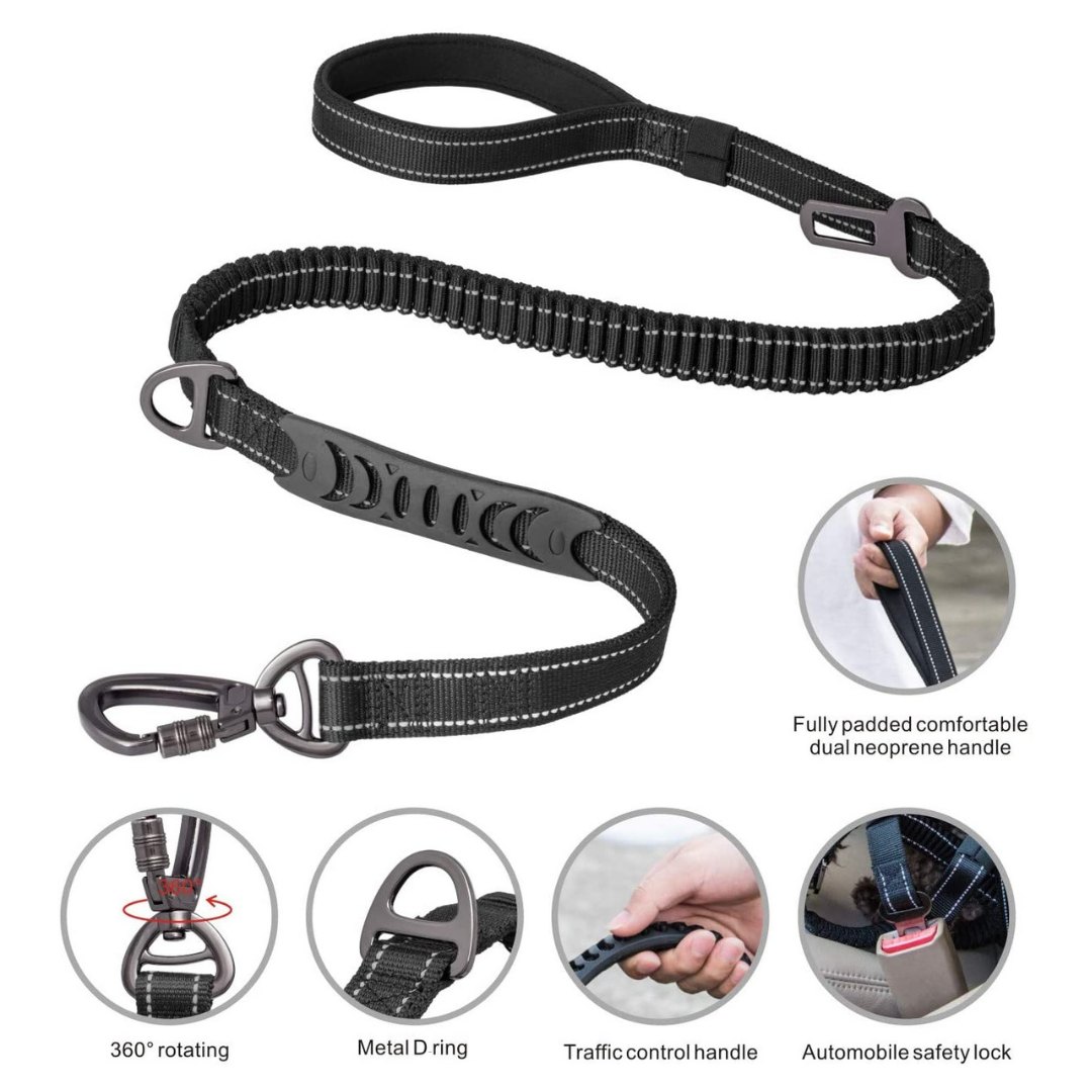 black dog lead all in one