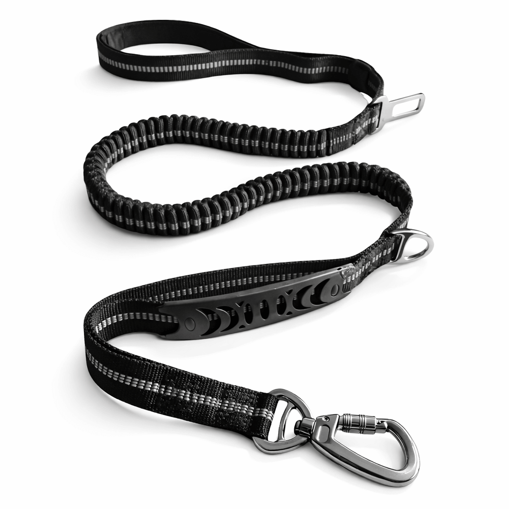 Black all-in-one dog bungee lead