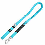 Blue all-in-one dog bungee lead