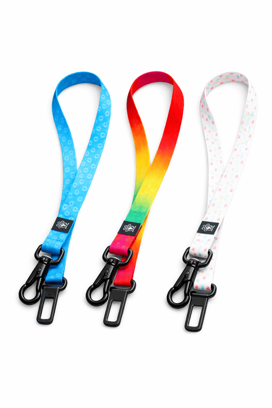 Dog Seatbelt Leads