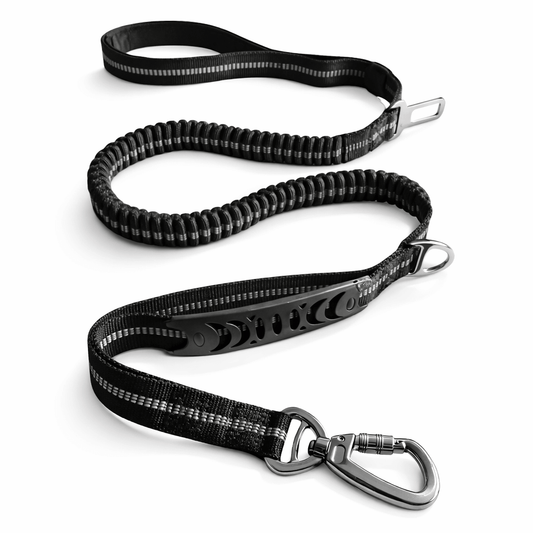 All In One Dog Safety Lead - Medium to Large