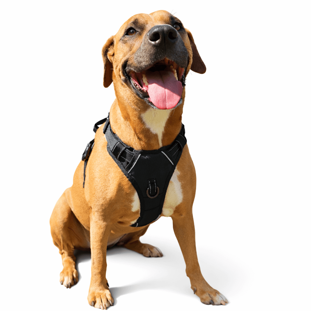 Reflective No Pull Dog Safety Harness