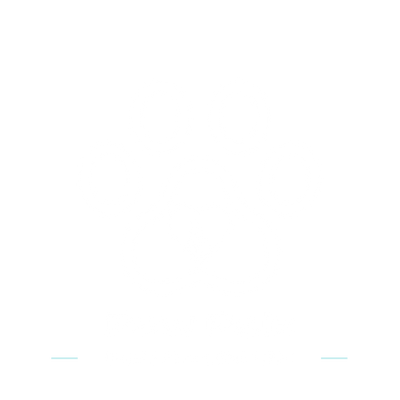 Paw Palz Logo 