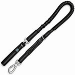 Black dog bungee lead all in one 