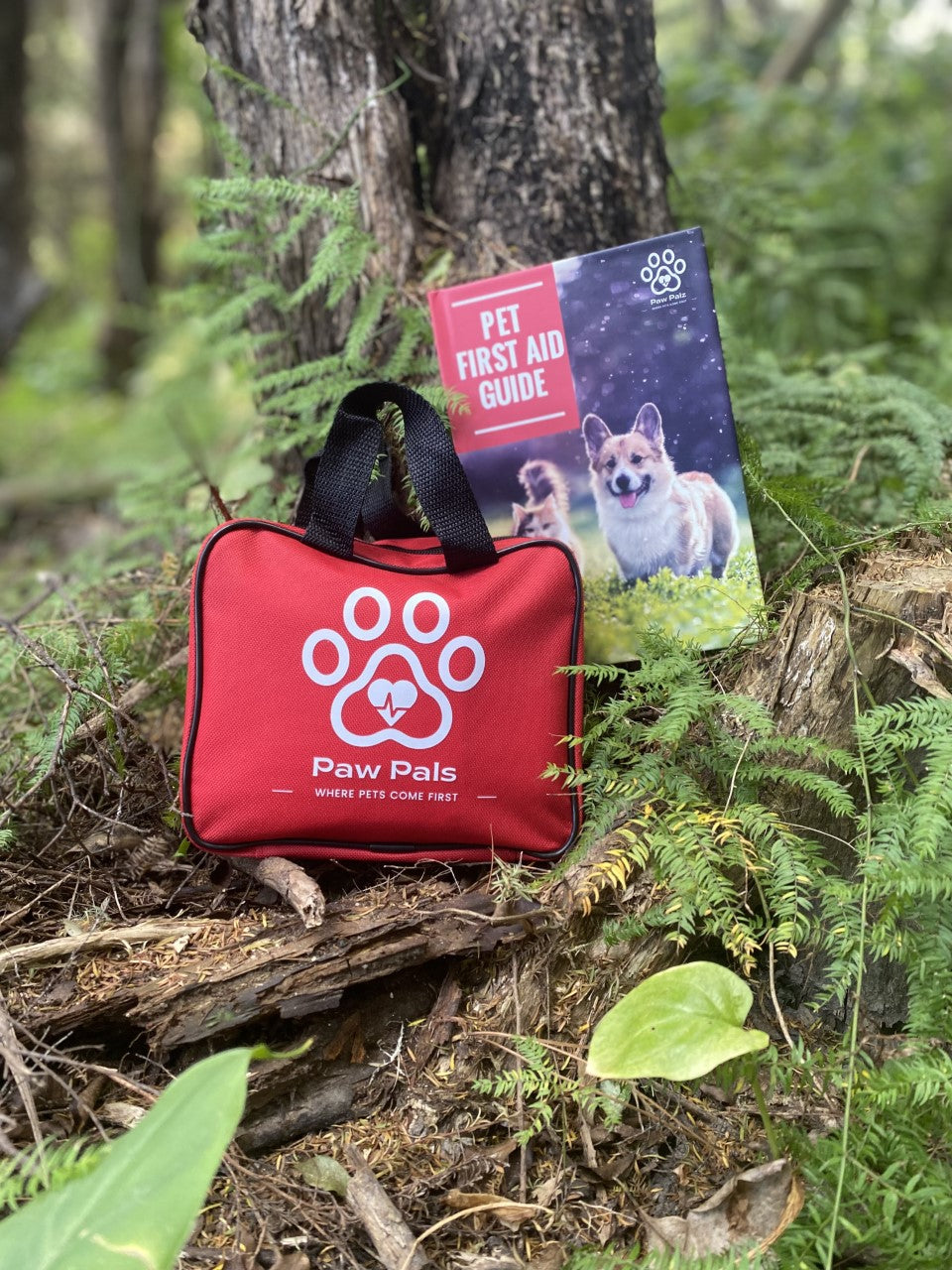 Pet First Aid & Books Bundle
