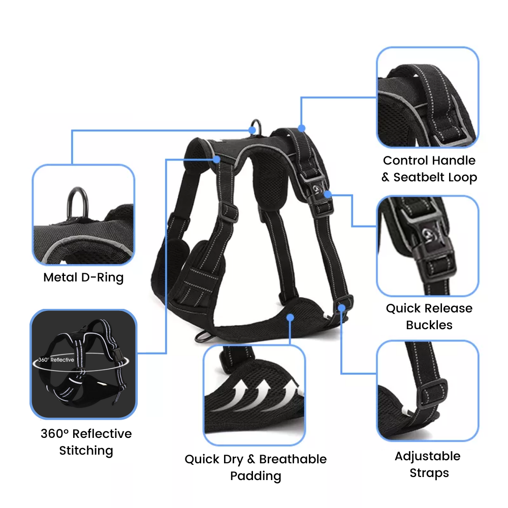 Reflective Dog Harness & All-In-One Safety Lead Bundle