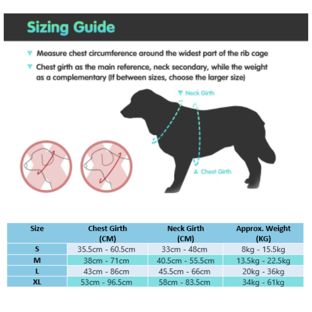 Reflective Dog Harness & All-In-One Safety Lead Bundle