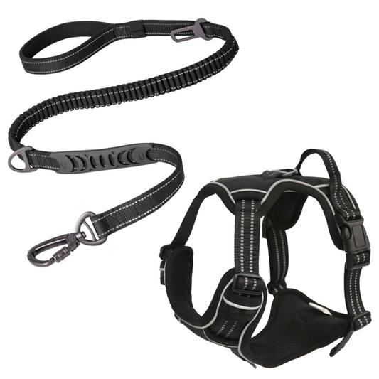Reflective Dog Harness & All-In-One Safety Lead Bundle