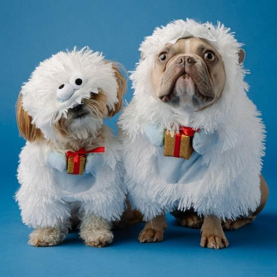 Dogs in present costume | Paw Palz 