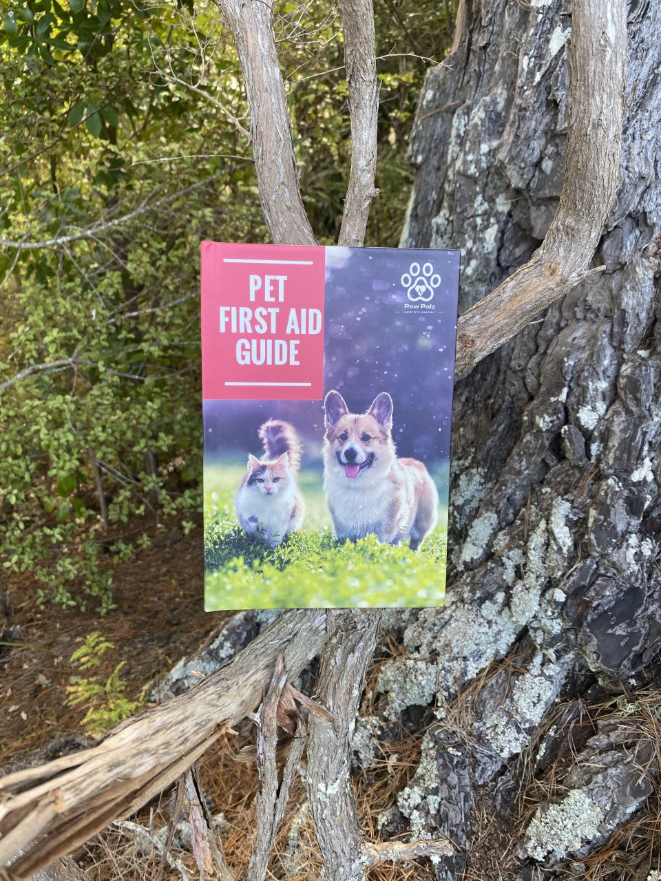 Pet First Aid Guide Book